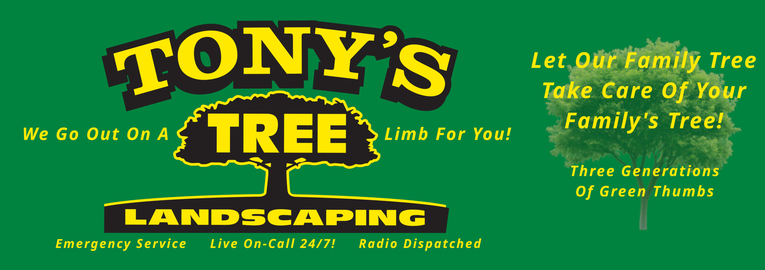 Tony's Tree and Landscaping